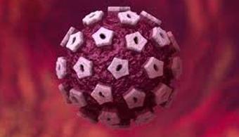 virus-papiloma-humano